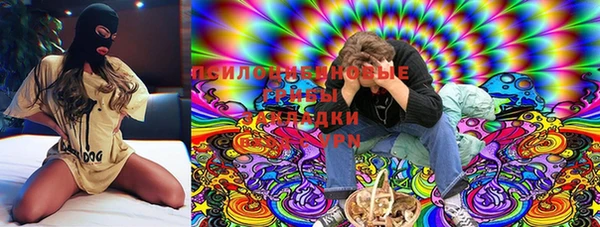 стаф Абдулино