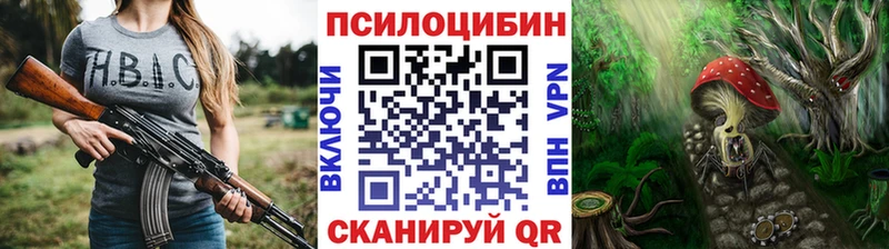 мориарти как зайти что такое Нальчик Псилоцибиновые грибы Psilocybe