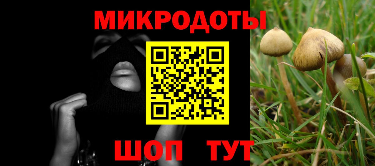 Галлюциногенные грибы GOLDEN TEACHER  Галлюциногенные грибы прущие грибы  Нальчик  Вход с VPN 